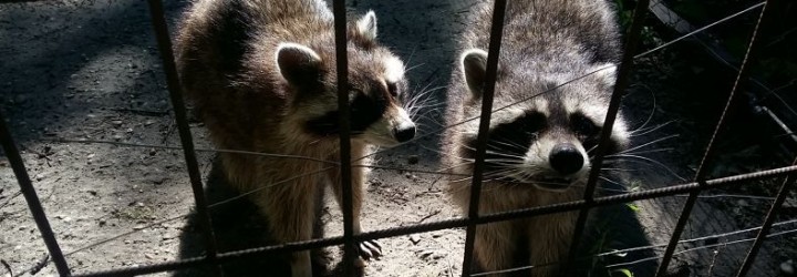 A szokásaink rabságában, avagy a kényelem bére